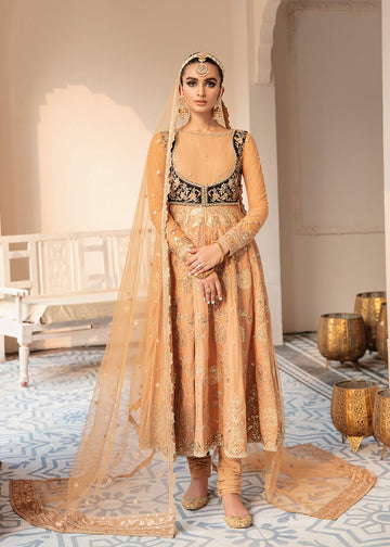 Akbar Aslam Evari Wedding Formals Collection 2022 Online Shopping